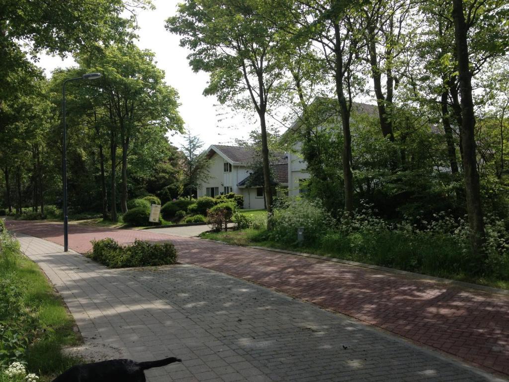 Villa Zeezout I Kloeg Collection Zoutelande Exterior photo